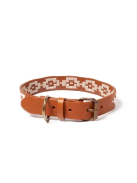 Argentinian Dog collar