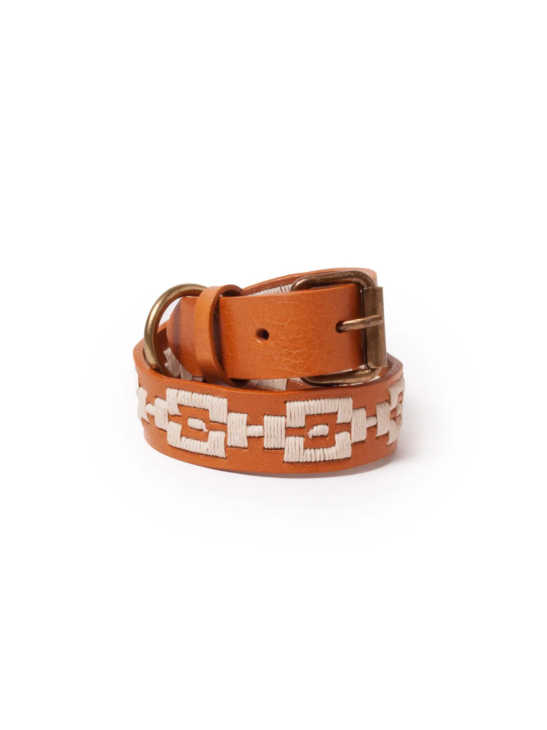 Argentinian Dog collar