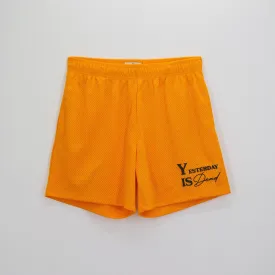 CORE MESH SHORTS GOLD