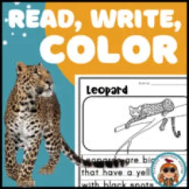 Leopard Read Write Color